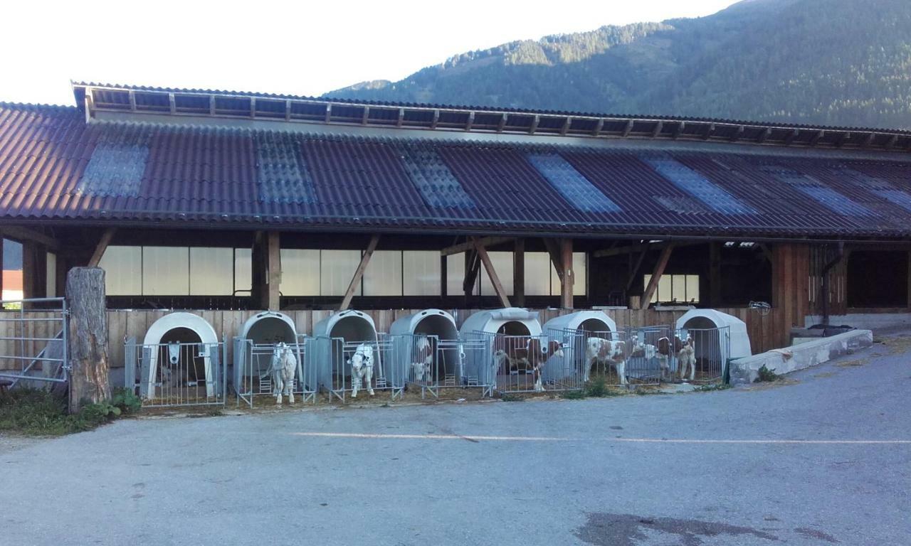 Ferienhaus Reinfrank Sankt Michael im Lungau Luaran gambar